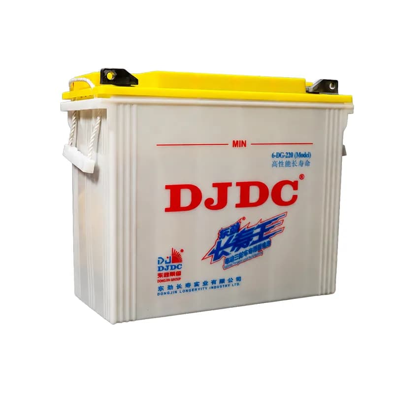 12V220 Model Acid Battery